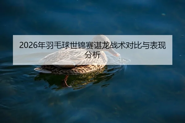 2026年羽毛球世锦赛谌龙战术对比与表现分析