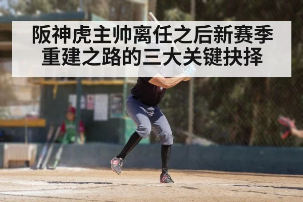 阪神虎主帅离任之后新赛季重建之路的三大关键抉择