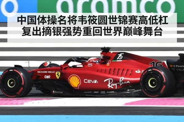 中国体操名将韦筱圆世锦赛高低杠复出摘银强势重回世界巅峰舞台